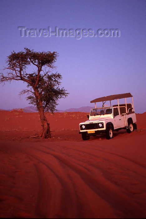 namibia81: Namibia - Namib desert: Land Rover Defender and tree - photo by G.Friedman - (c) Travel-Images.com - Stock Photography agency - Image Bank