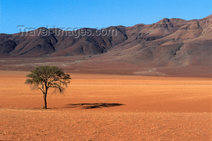 namibia84: Namibia - Namib desert: landscape - photo by G.Friedman - (c) Travel-Images.com - Stock Photography agency - Image Bank