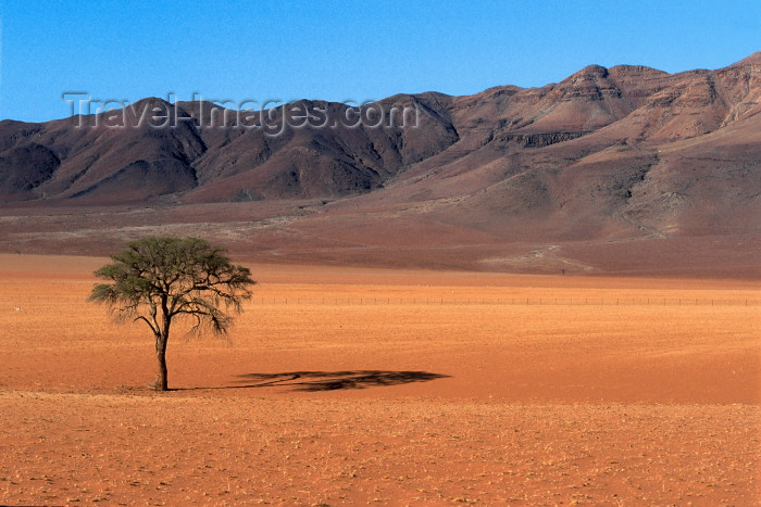 namibia84: Namibia - Namib desert: landscape - photo by G.Friedman - (c) Travel-Images.com - Stock Photography agency - Image Bank