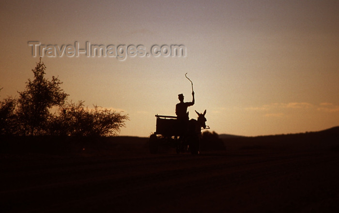 namibia91: Namibia - Donkey cart from afar - photo by G.Friedman - (c) Travel-Images.com - Stock Photography agency - Image Bank
