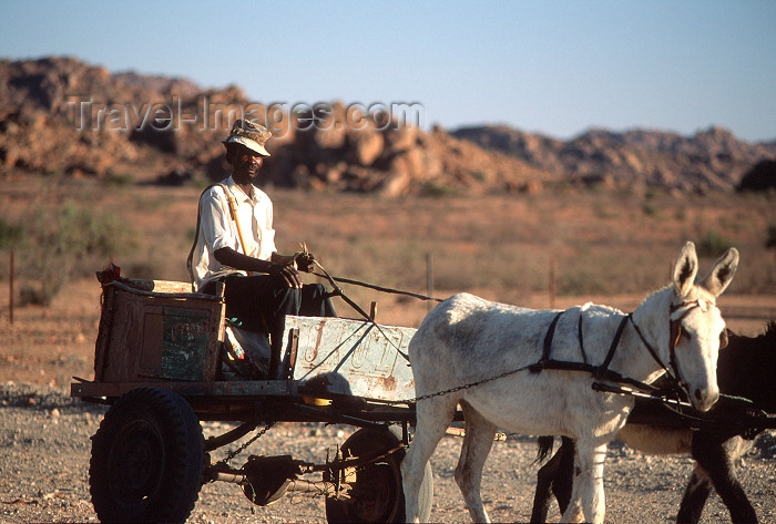 namibia96: Namibia - old man with donkey cart from afar - photo by G.Friedman - (c) Travel-Images.com - Stock Photography agency - Image Bank