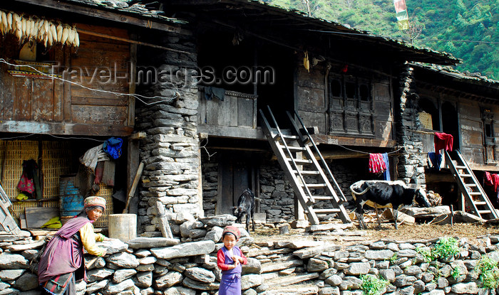 nepal120: Nepal - Langtang region - typical house in a Tamang village - photo by E.Petitalot - (c) Travel-Images.com - Stock Photography agency - Image Bank