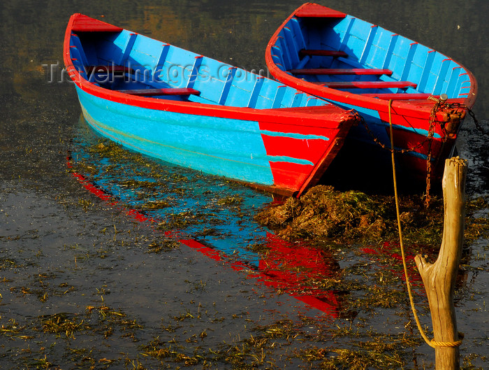 nepal171: Pokhara, Nepal: colorful small boats on Phewa lake - photo by E.Petitalot - (c) Travel-Images.com - Stock Photography agency - Image Bank