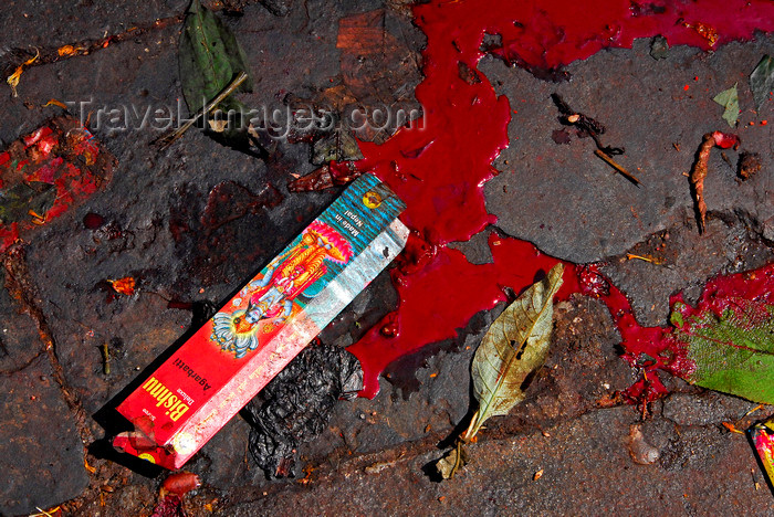 nepal228: Kathmandu valley, Nepal: Dakshinkali temple complex - discarded incense box in blood from sacrifices - photo by J.Pemberton - (c) Travel-Images.com - Stock Photography agency - Image Bank