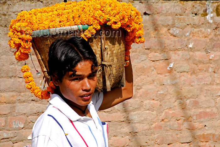 nepal230: Kathmandu, Nepal: Pashupatinath Temple - man carrying a basket of marigolds - photo by J.Pemberton - (c) Travel-Images.com - Stock Photography agency - Image Bank
