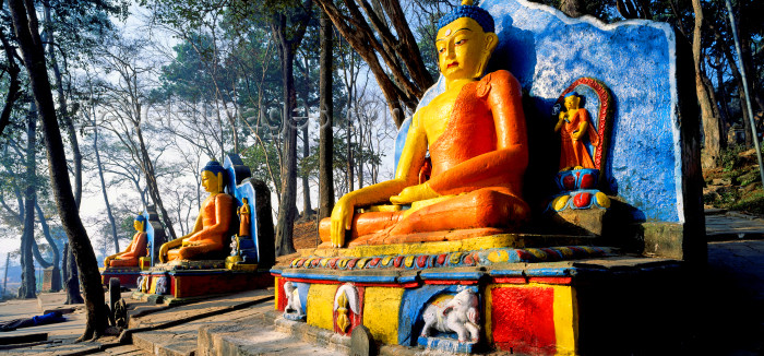 nepal237: Kathmandu valley, Nepal: Swayambhunath temple - woods and Dhyani Buddha Akshobhya sitting figures - Buddha statues - photo by W.Allgöwer - (c) Travel-Images.com - Stock Photography agency - Image Bank