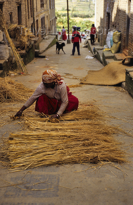nepal257: Kirtipur, Kathmandu valley, Nepal: peasant woman preparing hay - photo by W.Allgöwer - (c) Travel-Images.com - Stock Photography agency - Image Bank