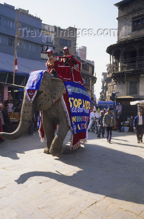 nepal290: Kathmandu, Nepal: elephant campaigning - World AIDS Day - photo by W.Allgöwer - (c) Travel-Images.com - Stock Photography agency - Image Bank
