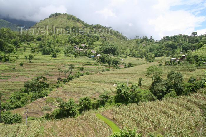 nepal315: Annapurna region, Nepal: terraced fields - photo by M.Wright - (c) Travel-Images.com - Stock Photography agency - Image Bank