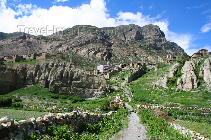 nepal321: Annapurna region, Nepal: rural 'road' - Annapurna Circuit Trek - photo by M.Wright - (c) Travel-Images.com - Stock Photography agency - Image Bank