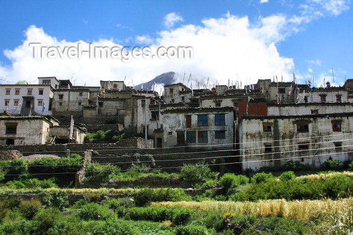 nepal333: Jharkot, Annapurna Region, Mustang district, Nepal: houses on the slope - photo by M.Wright - (c) Travel-Images.com - Stock Photography agency - Image Bank