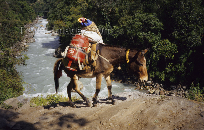 nepal336: Annapurna area, Nepal: Asian donkey transporting a gas cylinder along a river - Annapurna Circuit - photo by W.Allgöwer - (c) Travel-Images.com - Stock Photography agency - Image Bank
