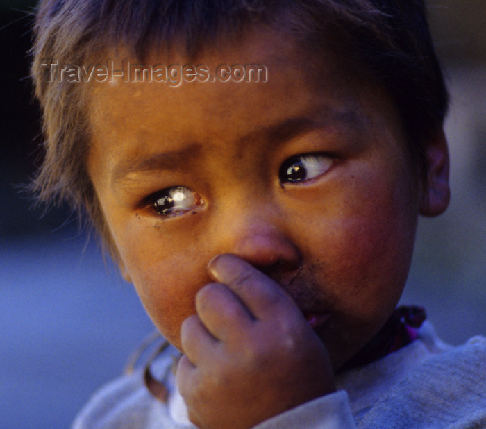 nepal341: Annapurna area, Nepal: close-up of a boy's face - photo by W.Allgöwer - (c) Travel-Images.com - Stock Photography agency - Image Bank