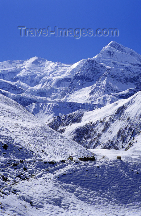 nepal359: Annapurna circuit, Nepal: climbing to Thorong La pass - photo by W.Allgöwer - (c) Travel-Images.com - Stock Photography agency - Image Bank