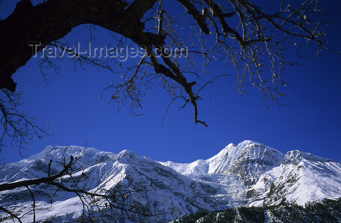 nepal370: Annapurna area, Manang district, border with Mustang distric, Nepal: Khangsar Kang, Roc Noir, 7485 m - Annapurna Himal - photo by W.Allgöwer - (c) Travel-Images.com - Stock Photography agency - Image Bank