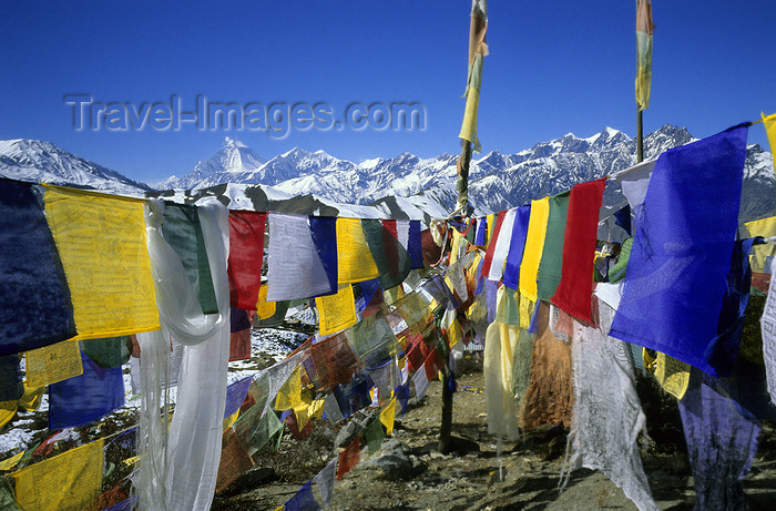 nepal387: Muktinath, Annapurna area, Mustang district, Dhawalagiri Zone, Nepal: payer flags - 'tarcho' - photo by W.Allgöwer - (c) Travel-Images.com - Stock Photography agency - Image Bank