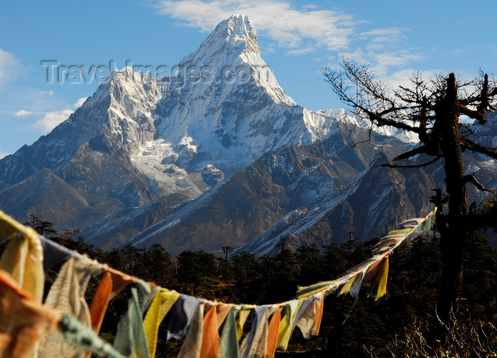 nepal401: Khumbu region, Solukhumbu district, Sagarmatha zone, Nepal: prayer flags in front of Ama Dablam mountain - Everest area - photo by E.Petitalot - (c) Travel-Images.com - Stock Photography agency - Image Bank