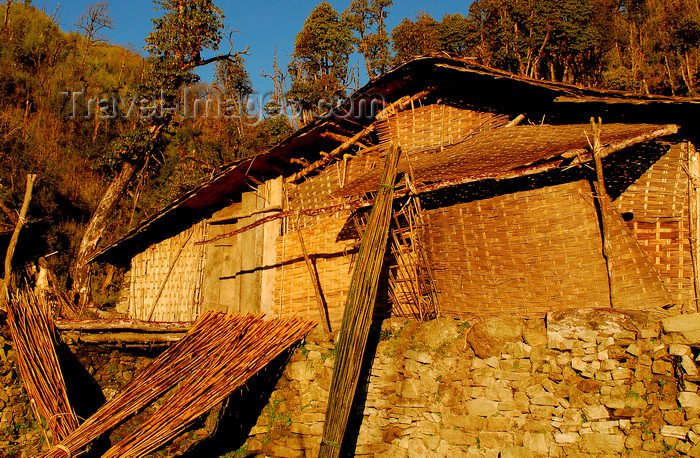 nepal432: Sankhuwasabha District, Kosi Zone, Nepal: bamboo house near Salpa Bhanjyang pass - photo by E.Petitalot - (c) Travel-Images.com - Stock Photography agency - Image Bank