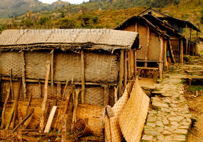nepal433: Sankhuwasabha District, Kosi Zone, Nepal: bamboo village on the way to Salpa pass - photo by E.Petitalot - (c) Travel-Images.com - Stock Photography agency - Image Bank