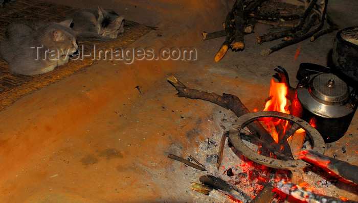 nepal438: Sankhuwasabha District, Kosi Zone, Nepal: cats around the fire in a Nepali kitchen - photo by E.Petitalot - (c) Travel-Images.com - Stock Photography agency - Image Bank