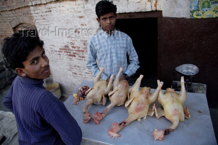 nepal457: Kathmandu, Nepal: butcher - chicken sold in the streets - photo by G.Koelman - (c) Travel-Images.com - Stock Photography agency - Image Bank