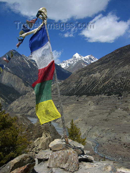 nepal46: Manang, Gandaki Zone, Nepal: prayer flags on a cairn - Annapurna Circuit - photo by M.Samper - (c) Travel-Images.com - Stock Photography agency - Image Bank