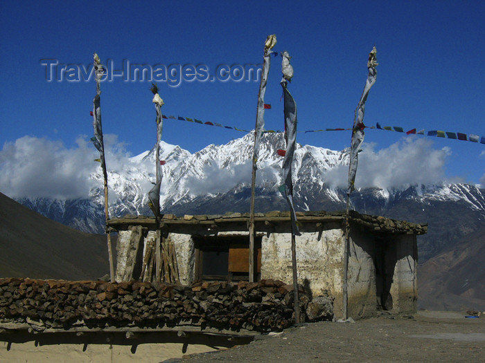 nepal50: Khingar, Mustang District, Dhawalagiri Zone, Nepal: house with prayer flags - tarcho - Annapurna Circuit - photo by M.Samper - (c) Travel-Images.com - Stock Photography agency - Image Bank