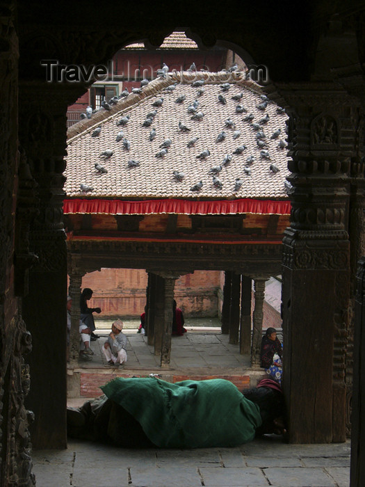nepal60: Nepal - Kathmandu: Durbar Square - roof with pigeons - photo by M.Samper - (c) Travel-Images.com - Stock Photography agency - Image Bank