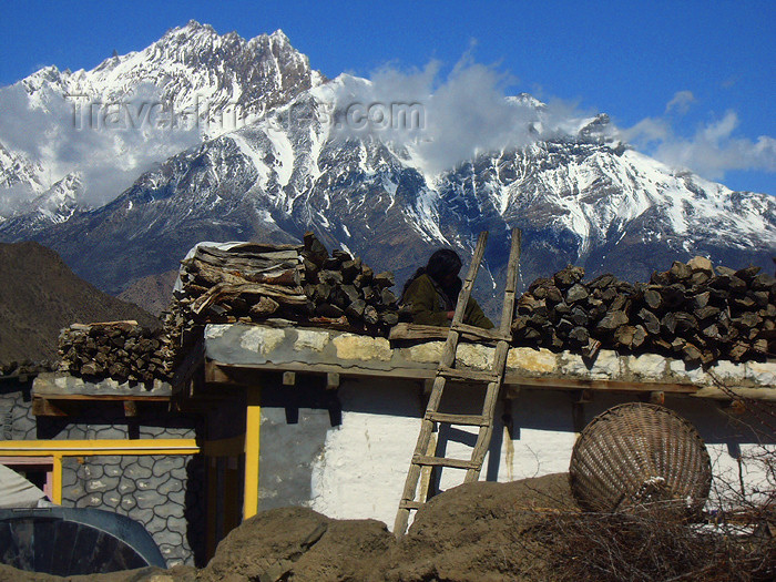 nepal65: Khingar, Mustang district, Gandaki Zone, Nepal: storing wood on the roof - ladder and mountains - Annapurna Circuit - photo by M.Samper - (c) Travel-Images.com - Stock Photography agency - Image Bank