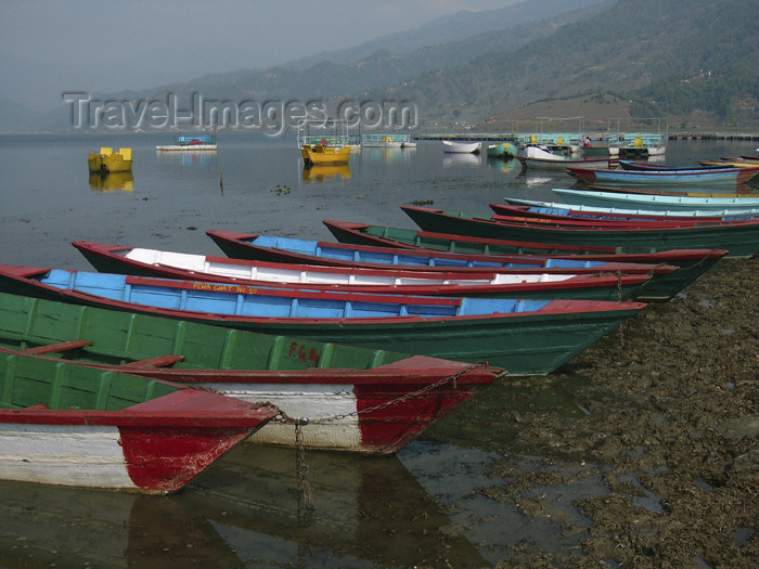 nepal70: Nepal - Pokhara: boats on Phewa Lake - Kaski District, Gandaki Zone - photo by M.Samper - (c) Travel-Images.com - Stock Photography agency - Image Bank