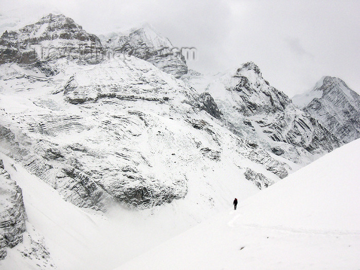 nepal73: Nepal - Thorung La Pass: lost in the white - connects the Manang and Mustang districts - snow and mountains - Annapurna Circuit - photo by M.Samper - (c) Travel-Images.com - Stock Photography agency - Image Bank