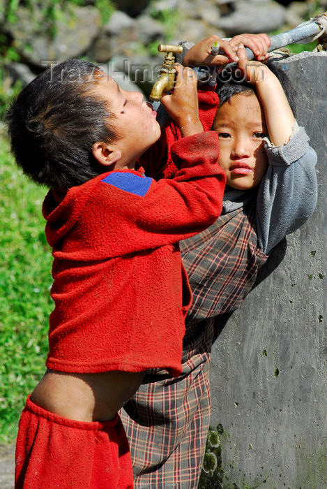 nepal80: Nepal - Langtang region - Tamang children drinking water from a tap - photo by E.Petitalot - (c) Travel-Images.com - Stock Photography agency - Image Bank