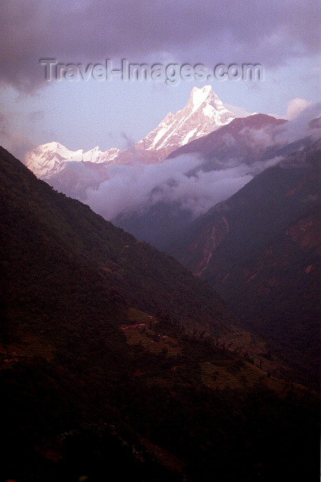 nepal93: Machhapuchhre mountain, Kaski district, Gandaki zone, Nepal: known as the the Fish Tail Mountain, rises high above the Modi Khola river valley - 6997 m, unclimbed - Annapurna Himal - view from the Bamboo area - photo by G.Friedman - (c) Travel-Images.com - Stock Photography agency - Image Bank