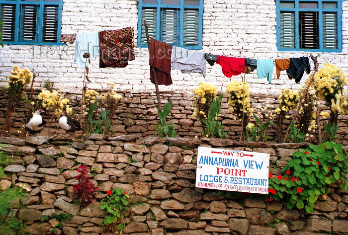 nepal94: Ghorepani, Parbat district, Dhawalagiri zone, Nepal: View Point lodge - photo by G.Friedman - (c) Travel-Images.com - Stock Photography agency - Image Bank