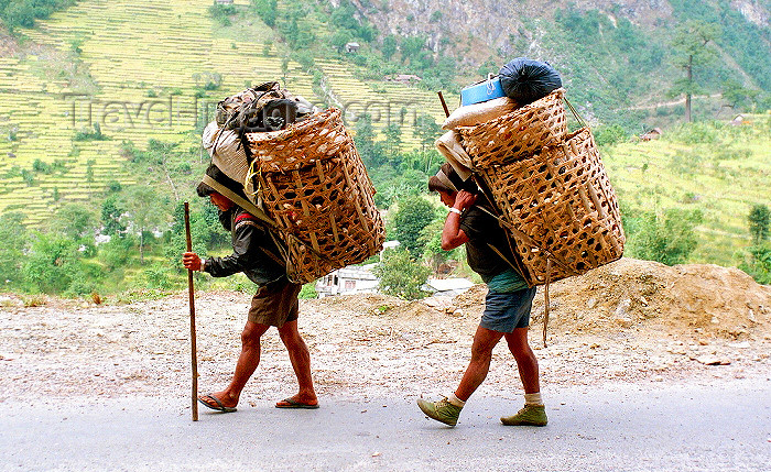 nepal96: Nepal - Annapurna region - Anapurna: sherpas with large baskets - photo by G.Friedman - (c) Travel-Images.com - Stock Photography agency - Image Bank