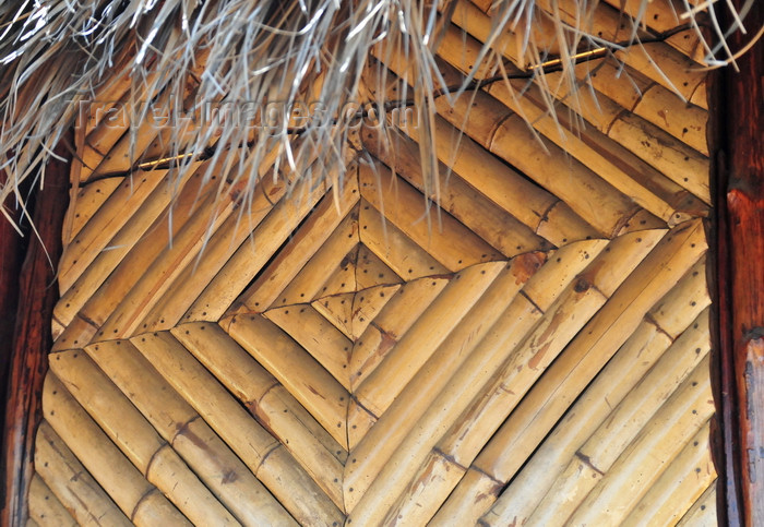 nicaragua19: Managua, Nicaragua: bamboo wall on Simón Bolivar avenue - photo by M.Torres - (c) Travel-Images.com - Stock Photography agency - Image Bank