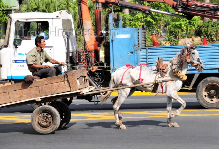 nicaragua34: Managua, Nicaragua: horse drawn cart in the traffic of Av. Bolivar- photo by M.Torres - (c) Travel-Images.com - Stock Photography agency - Image Bank