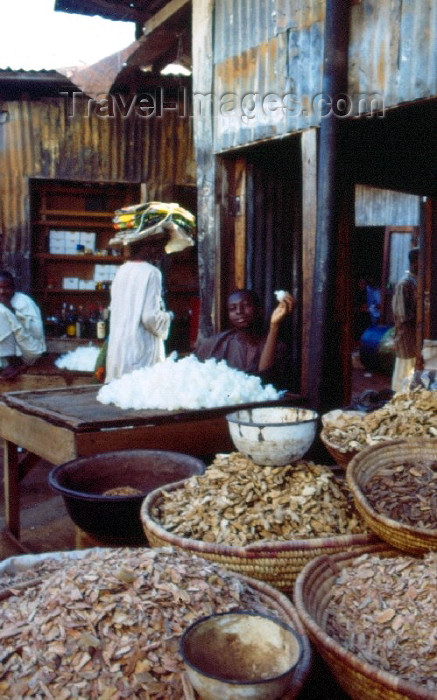 nigeria13: Nigeria - Kano: shopkeeper at the market - photo by Dolores CM - (c) Travel-Images.com - Stock Photography agency - Image Bank