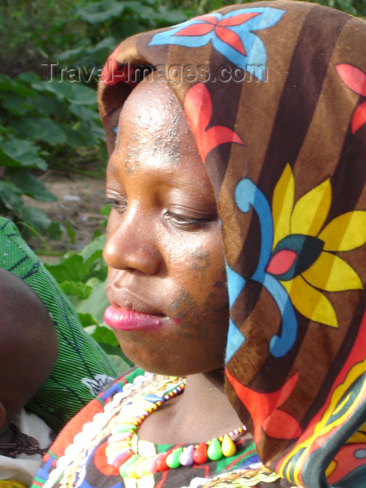 nigeria30: Nigeria - Dambatta (Kano State): Fulani woman with facial painting - photo by A.Obem - (c) Travel-Images.com - Stock Photography agency - Image Bank