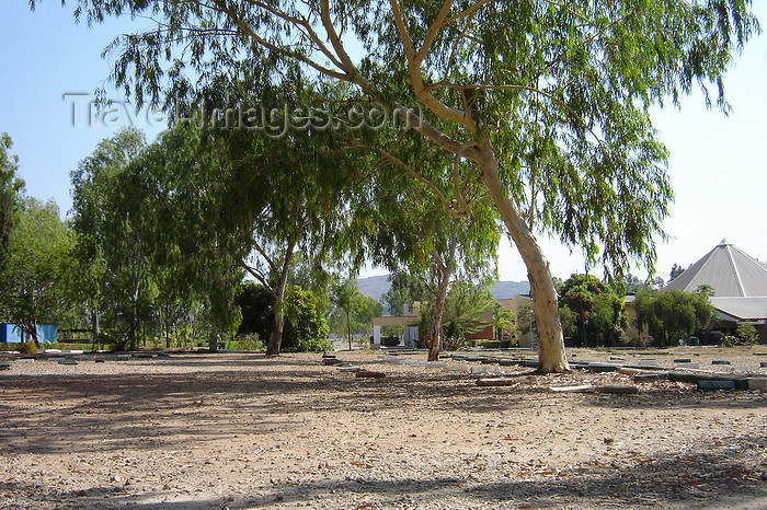 nigeria54: Jos - Plateau state, Nigeria: large trees - photo by A.Obem - (c) Travel-Images.com - Stock Photography agency - Image Bank