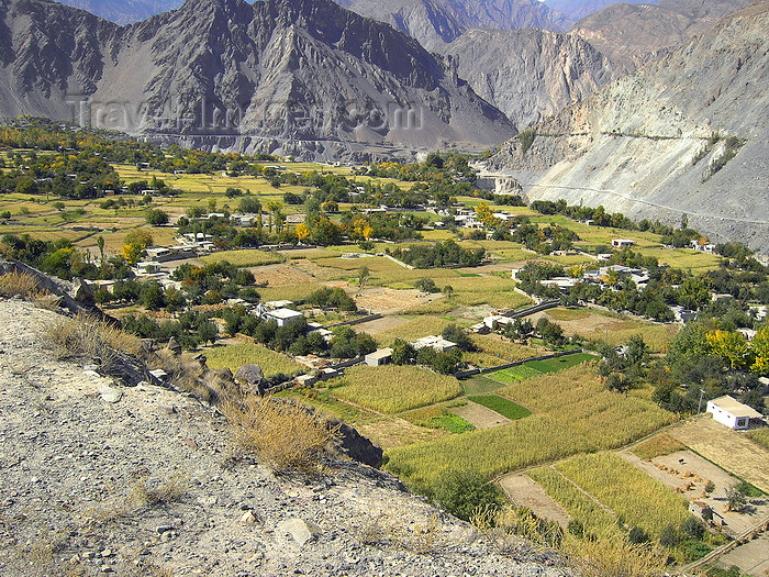 pakistan163: Hunza Valley - Northern Areas, Pakistan: agriculture in the scarce fertile land surrounded by mountains - Karakoram Highway - photo by D.Steppuhn - (c) Travel-Images.com - Stock Photography agency - Image Bank