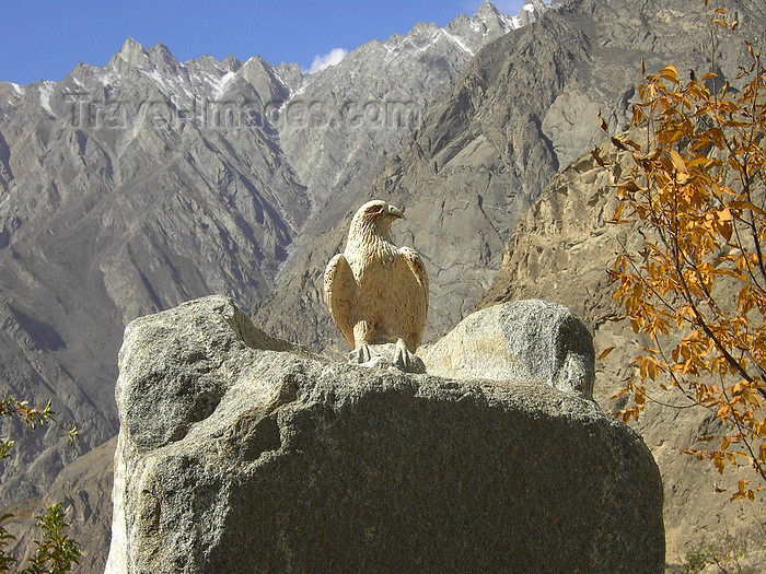 pakistan179: Duikar hamlet, Altit - Northern Areas / FANA, Pakistan: eagle at Eagles' Nest hotel - photo by D.Steppuhn - (c) Travel-Images.com - Stock Photography agency - Image Bank