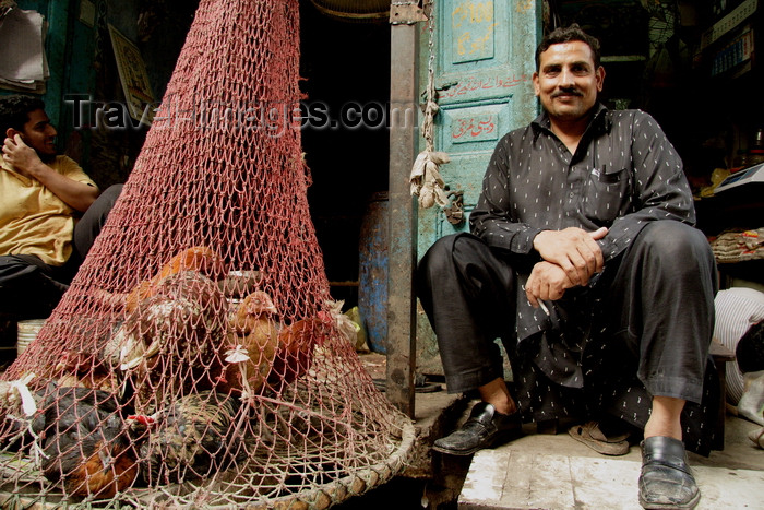 pakistan192: Lahore, Punjab, Pakistan: chicken in a net - poultry seller in the Old City - photo by G.Koelman - (c) Travel-Images.com - Stock Photography agency - Image Bank