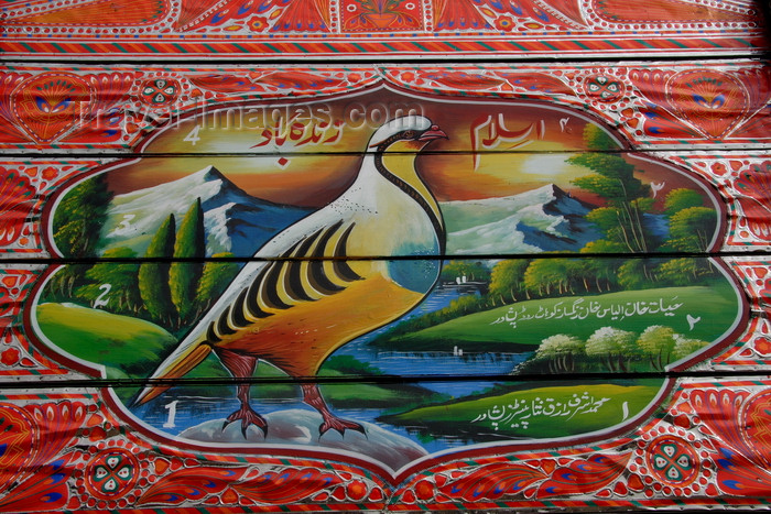 pakistan203: Peshawar, NWFP,  Pakistan: detail of a truck painting - grouse and mountains - photo by G.Koelman - (c) Travel-Images.com - Stock Photography agency - Image Bank