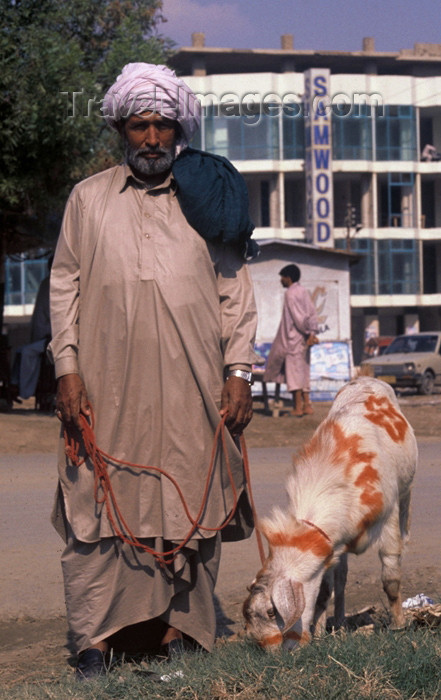 pakistan52: Pakistan - Karachi (Sindh / Sind): all set for the sacrifice - man wearing a dhoti, with his goat on Eid-ul-Azha / Eid-al-Adha, 10th day of the month of Dhul Hijja of the Hijri calendar - Muslim celebration - photo by R.Zafar - (c) Travel-Images.com - Stock Photography agency - Image Bank