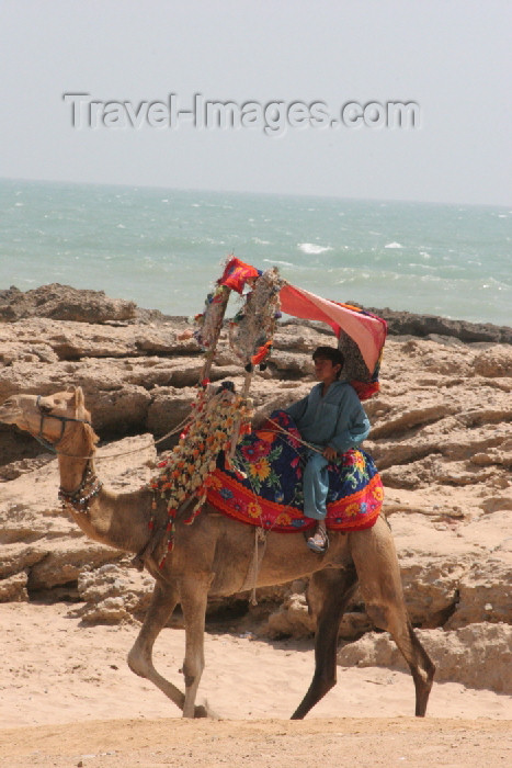 pakistan79: Karachi, Sindh, Pakistan: boy on camel - French Beach - photo by R.Zafar - (c) Travel-Images.com - Stock Photography agency - Image Bank