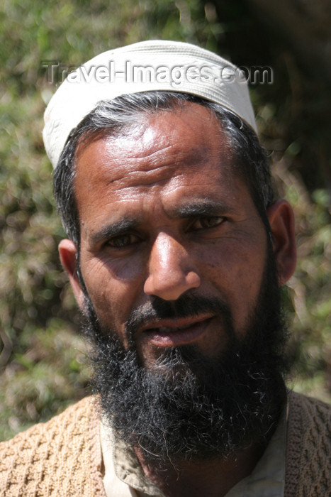 pakistan91: Jabbar Nara Pata, Siran Valley, North-West Frontier Province, Pakistan: middle aged man with beard - photo by R.Zafar - (c) Travel-Images.com - Stock Photography agency - Image Bank