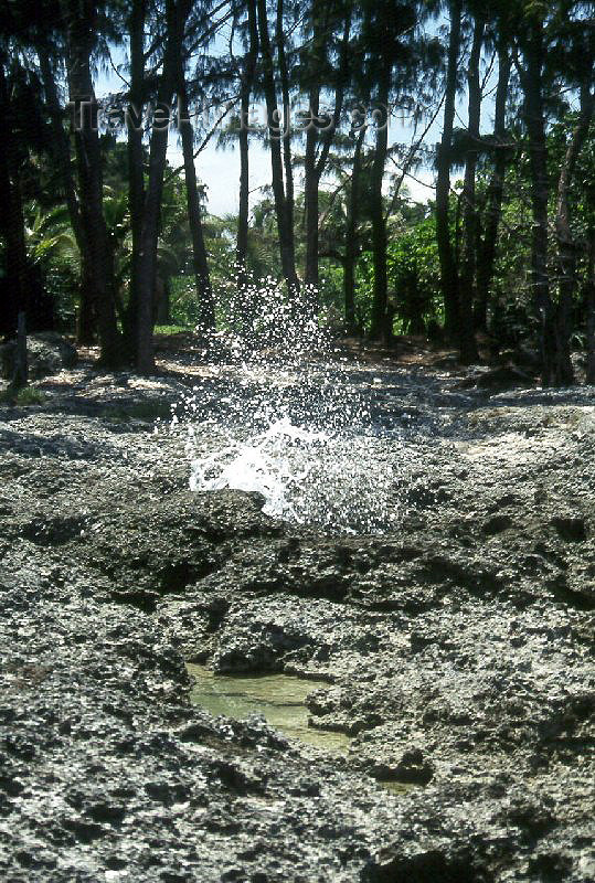 palau1: Anguar island, Palau / Belau: blow hole -  inland end of a sea cave - photo by M.Sturges - (c) Travel-Images.com - Stock Photography agency - Image Bank