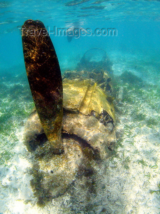 palau35: Ngaremediu Reef, Koror state, Palau : WWII Mitsubishi A6M Zero fighter of the Imperial Japanese Navy Air Service - underwater image - photo by B.Cain - (c) Travel-Images.com - Stock Photography agency - Image Bank