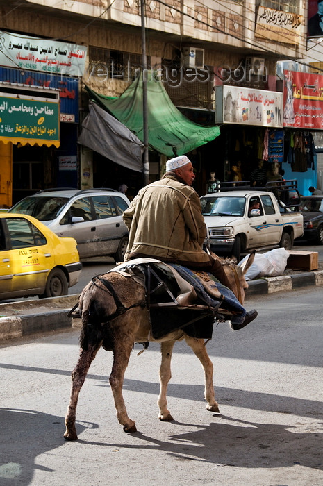 palest30: Hebron, West Bank, Palestine: man rides a donkey in street - photo by J.Pemberton - (c) Travel-Images.com - Stock Photography agency - Image Bank